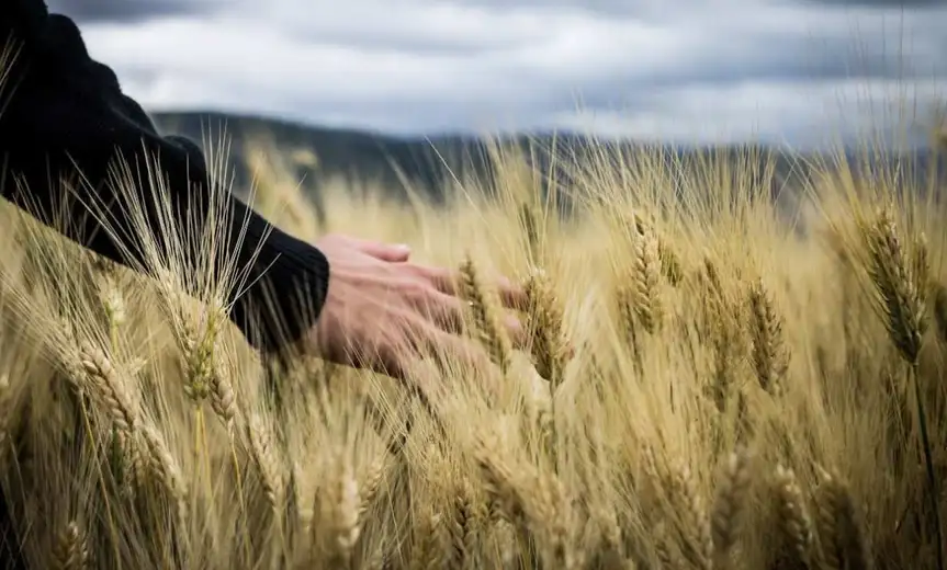 Sve više mladih se vraća na selo – šta ih tamo zadržava?