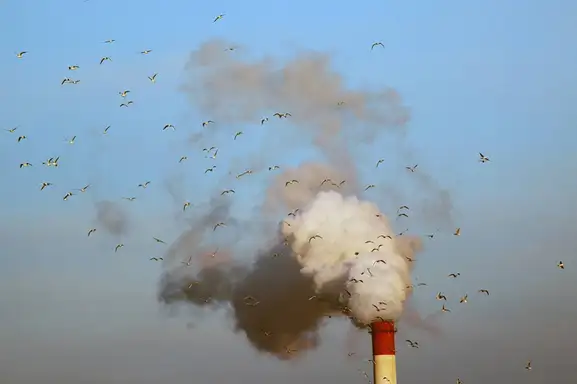 "Zemlja pati": 13. Međunarodna izložba fotografije "Ekološka istina"