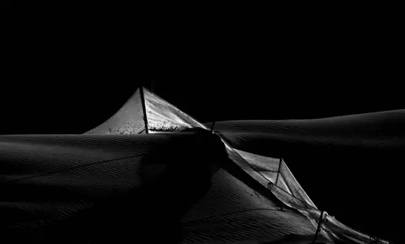 Izložba "Ekološka istina" u Radul begovom konaku