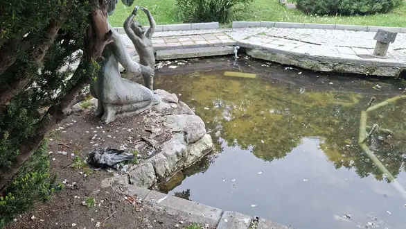 Fontana u centru Zaječara zapuštena: prljavština i mrtav golub u vodi