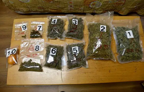 Hapšnje u Boru zbog droge