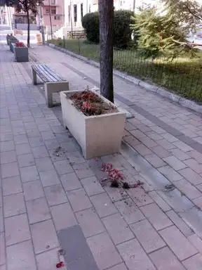 Vandalizam "cveta": Ima li kraja divljanju vandala?