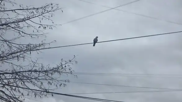 Vremenska prognoza: Pretežno oblačno, povremeno mogući kratkotrajni pljuskovi