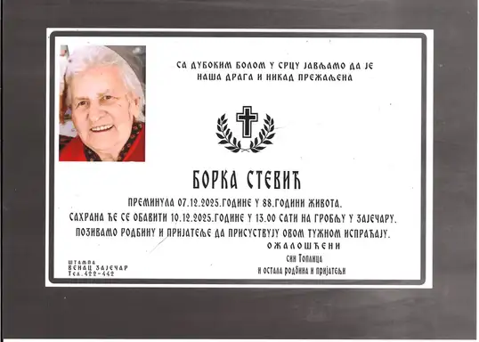 Borka Stević