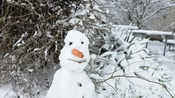 Vremenska prognoza: Umereno oblačno - bez padavina
