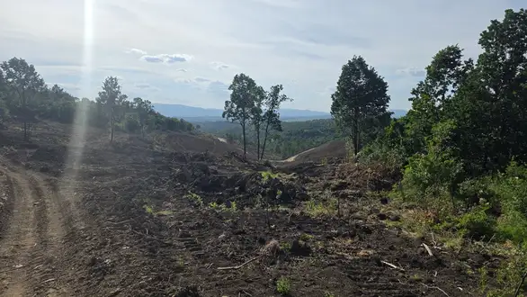 Hitna inspekcijska odluka: Kompaniji „Zijin Mining” naređena trenutna obustava radova na Malka Golaji zbog nelegalnog krčenja šuma