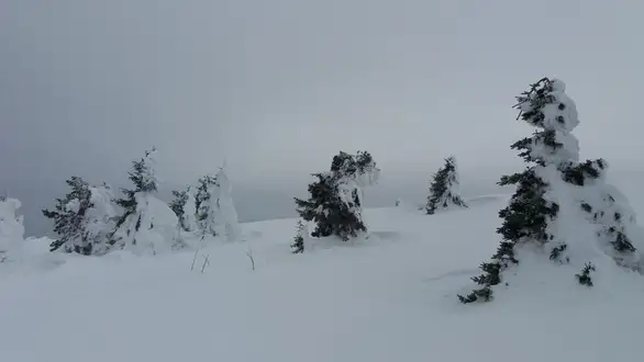 Zaječarski planinari minulog vikenda na Beljanici