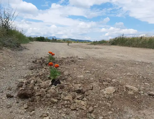 Dubočane: Na saniranom putu "izniklo" cveće