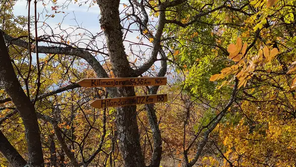 Topao i vetrovit novembarski dan – uveče oblaci i kiša