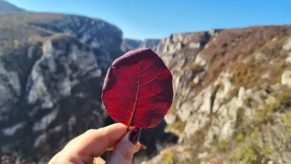 Danas ujutru mraz, tokom dana sunčano