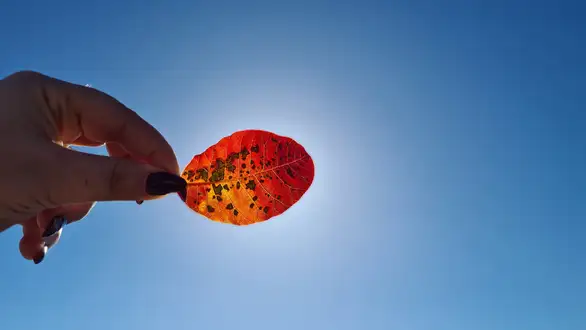 Pretežno sunčano vreme, temperature do 26 stepeni