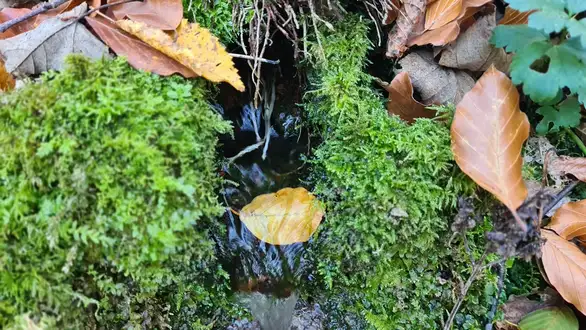 Vremenska prognoza:  Dnevna temperatura danas do 10 stepeni, pretežno oblačno i kišovito