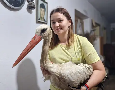 Ana i Milan staraju se o rodi nastadaloj u nevremenu