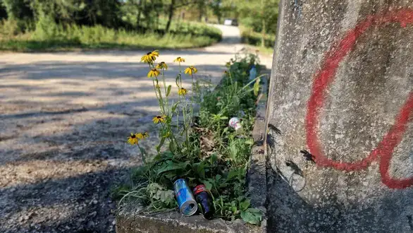 Članovi udruženja "Eko istok" organizovali su akciju uklanjanja smeća u Nikoličevu