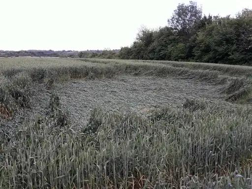 Nevreme praćeno gradom i jakom kišom izazvalo kolaps!