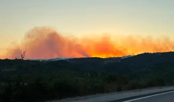 Glas prosvete Zaječar poziva na pomoć zbog požara u Zagrađu: Vatra ugrozila domaćinstva