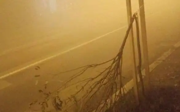 Vandali ponovo polomili sadnicu u ulici Nikole Pašića