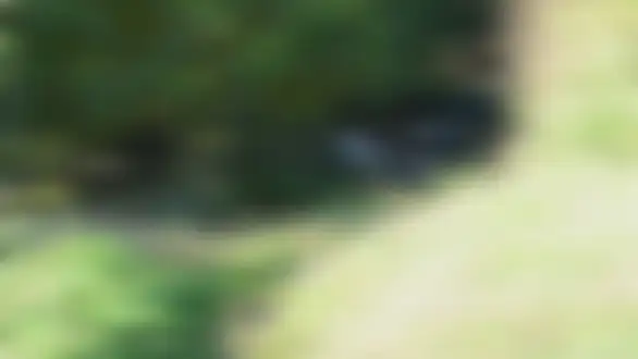 Postani spasilac! - Najava osnovnog kursa Gorske službe spasavanja Srbije