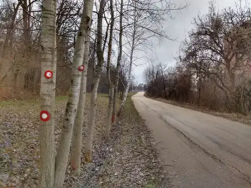 U Zaječaru oblačno i hladno vreme