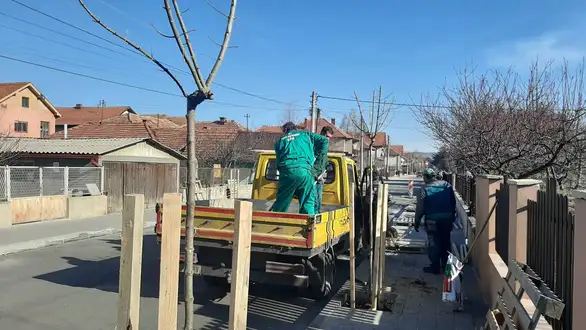 Ulica Pavla Ilića dobija drvored