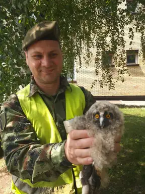 Spašeno mladunče sove u kasarni "Nikola Pašić"