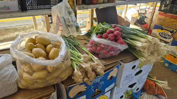 Proleće obojilo zaječarsku pijacu: evo kako se kreću cene!