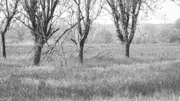 U Zaječaru danas pretežno oblaćno vreme