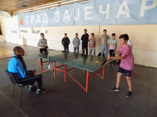 Zaječarski đaci plasirali su se na Državno takmičenje u stonom tenisu