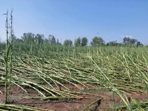Veliki izvor: Život se polako vraća u normalu, šteta u ovom momentu nesaglediva