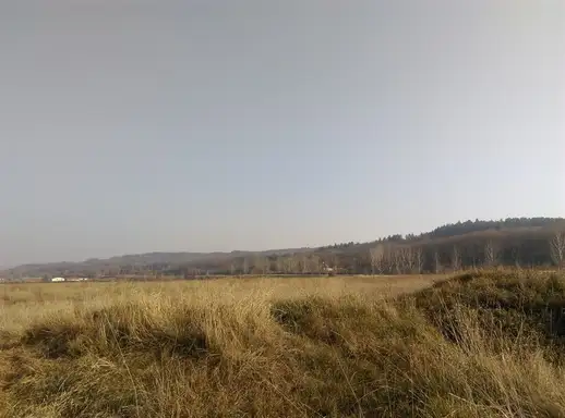 U zaječarskom sportskom kompleksu Kraljevica gradiće se nova saobraćajnica