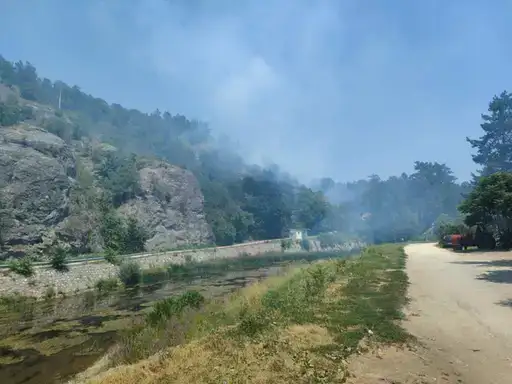 Požar u Gamzigradskoj banji lokalizovan je, za sada nema opasnosti