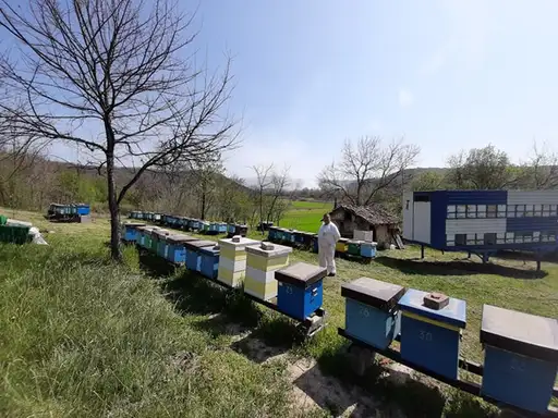 Upozorenje pčelarima u Vražogrncu i Velikom Jasenovcu: Zatvorite košnice