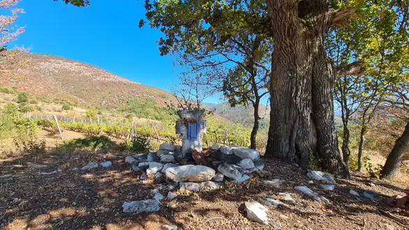 Priče iz Torlačije: Zavetina