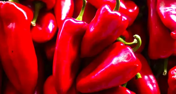 Kako se pravi dobar ajvar? Bosa Milojić otkrila je tajnu spremanja dobrog ajvara