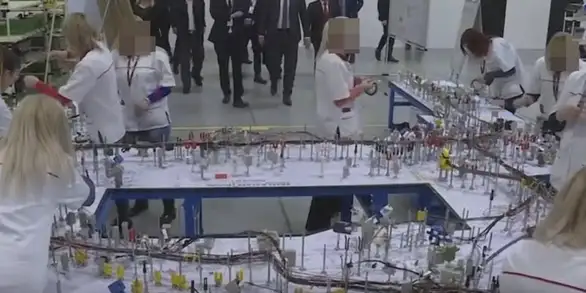 Vlada Srbije: Program „Moja prva plata“ biće nastavljen