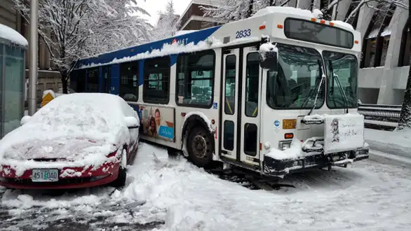 NEPROHODNI PUTEVI DO POJEDINIH ZAJEČARSKIH SELA: Autobusi jutros nisu vozili do Tabakovca, ali ni do…