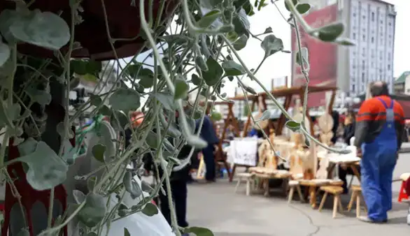 GASTRO KARAVAN U ZAJEČARU: Prеko 80 izlagača na zajеčarskom trgu