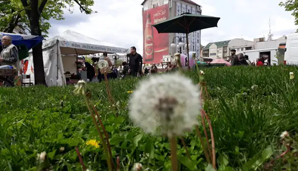 Počeo Uskršnji bazar u Zaječaru (FOTO+VIDEO)