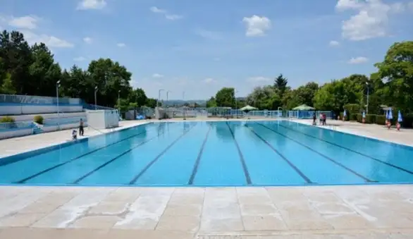 Lepa saradnja JKP "Timok održavanja" i Ustanove "Oblutak" se nastavlja