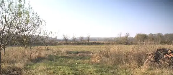 Bela kuga uzima danak: Zar starci da prave decu?