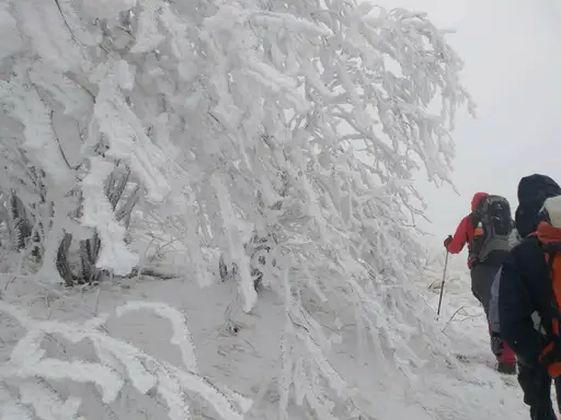 Uspešno realizovan Božićni uspon na Rtanj!