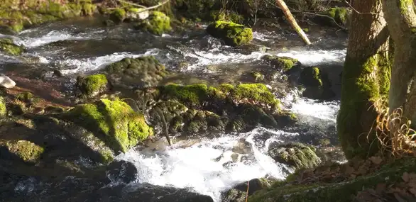 Na izvoru i ušću Crnog Timoka: od bistrog potoka do zagađene reke