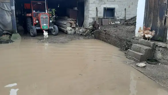 Otvoreno pismo gradonačelniku Zaječara Bošku Ničiću