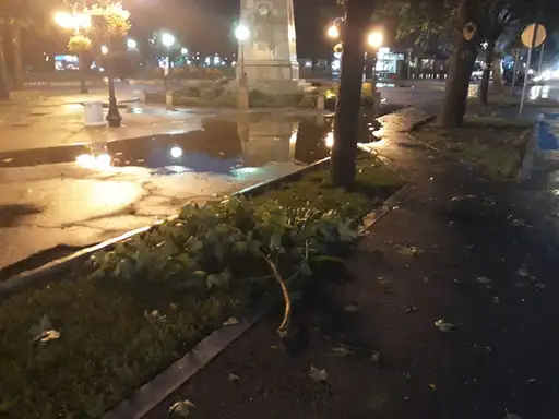 Nadležne ekipe na terenu: Sanacija posledica nevremena u toku!