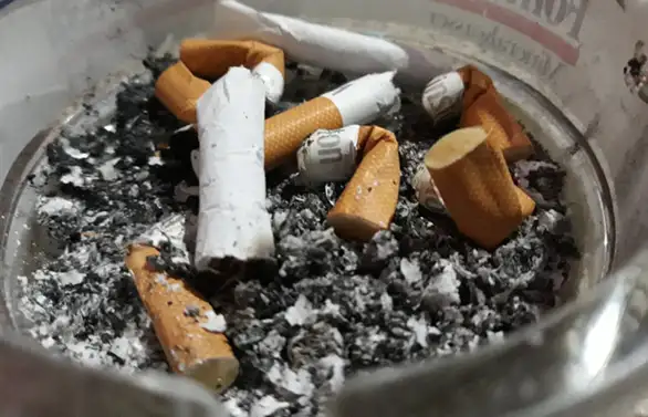 U Centru za socijalni rad u Zaječaru podsticajna mera kao nagrada: Zaposleni koji prestane sa korišćenjem cigareta, dobija tri slobodna dana