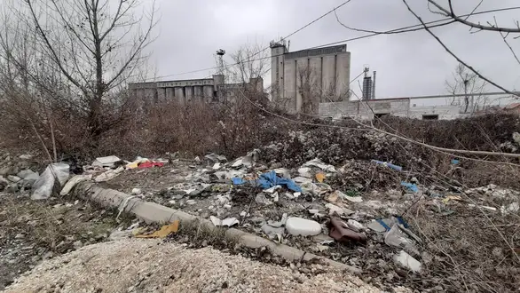 Svetski dan zaštite životne sredine: Kako Zaječarci brinu o očuvanju životne sredine