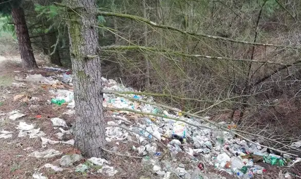 Još jedna divlja deponija kraj puta Zaječar - Knjaževac kod Grljana