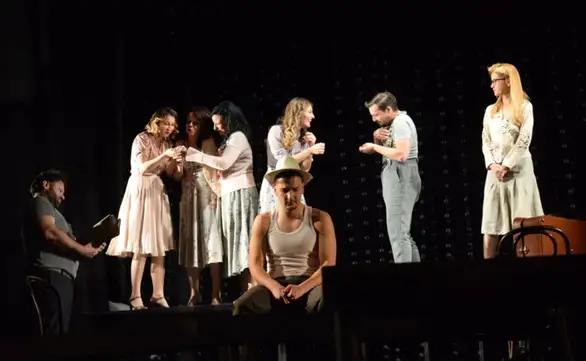 Na 29. Danima “Zorana Radmilovića” sinoć je izvedena predstava “Smederevo 1941.”: Tanja Pjevac dobitnica "Zoranovog brka"