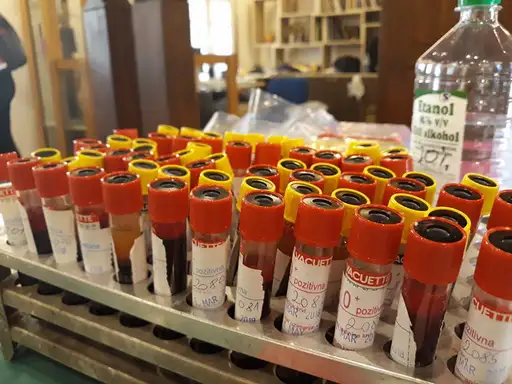 AKCIJA DOBROVOLJNOG DAVANJA KRVI U ZAJEČARU