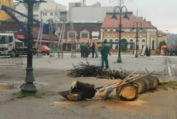 Radnici Timok održavanja isekli drvo u centru Zaječara